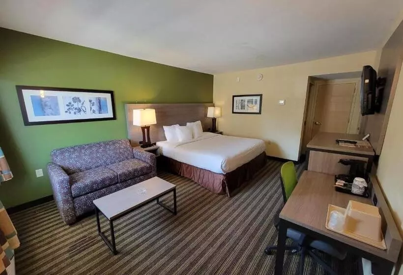 身障者適用キングサイズベッドルーム, Quality Inn Flamingo