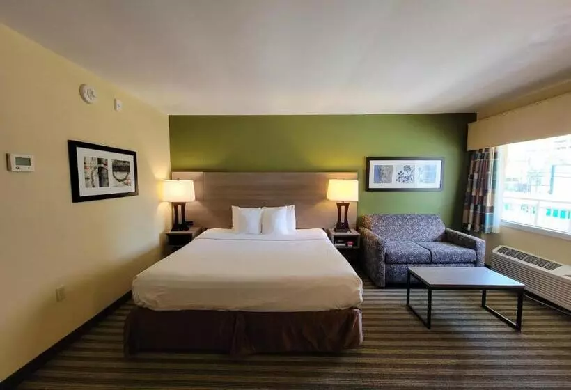身障者適用キングサイズベッドルーム, Quality Inn Flamingo