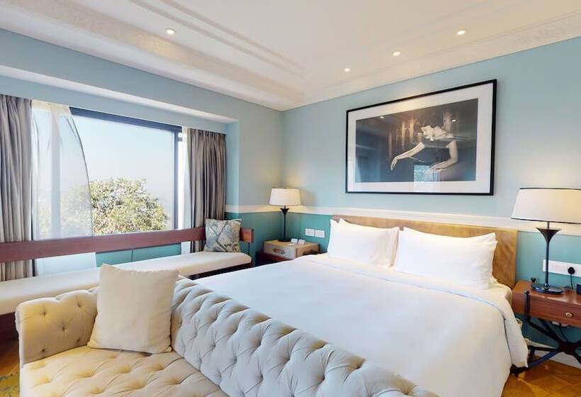 سوییت جونیور, Radisson Hotel Shimla