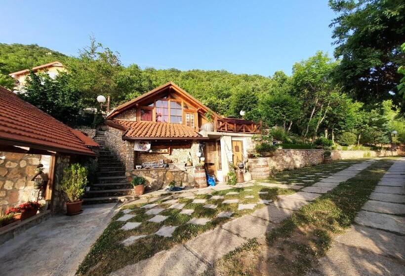 تختخواب در اتاق مشترک, Robinson Sunset Guest House