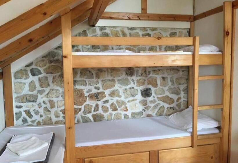 تختخواب در اتاق مشترک, Robinson Sunset Guest House