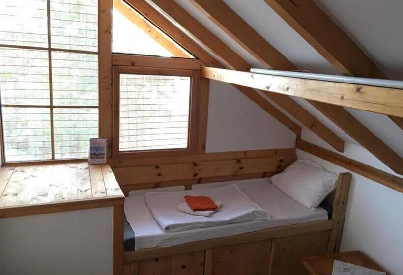 تختخواب در اتاق مشترک, Robinson Sunset Guest House