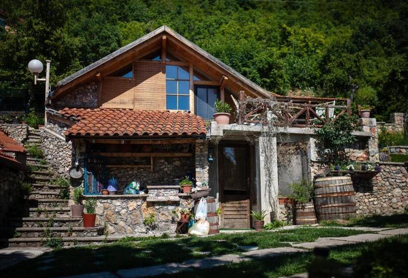 تختخواب در اتاق مشترک, Robinson Sunset Guest House