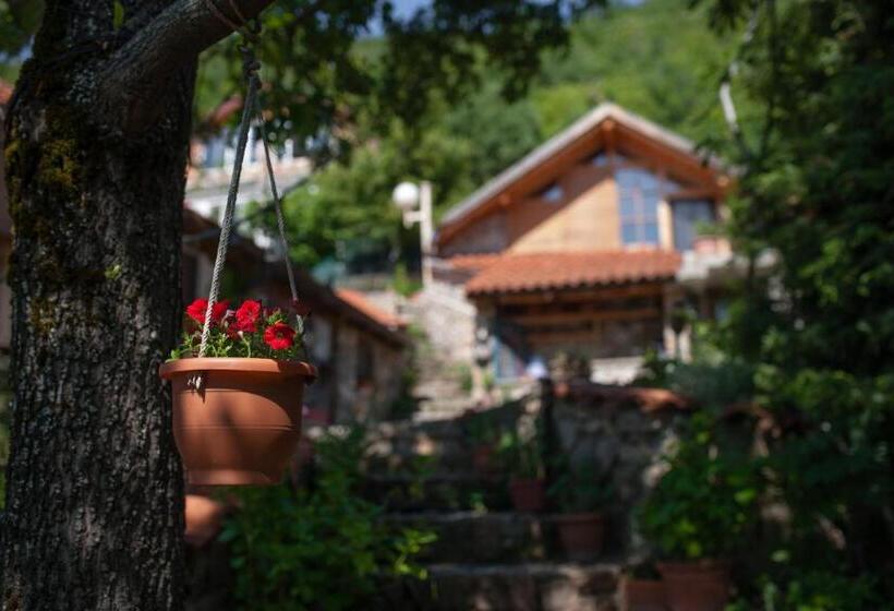 تختخواب در اتاق مشترک, Robinson Sunset Guest House