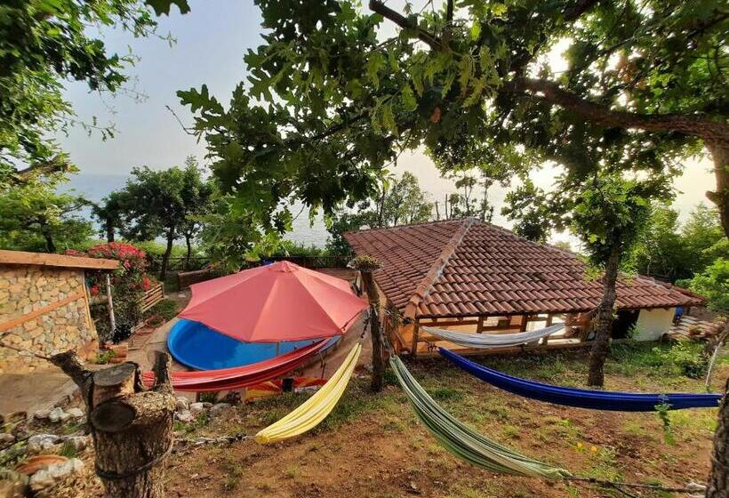 اتاق استاندارد, Robinson Sunset Guest House