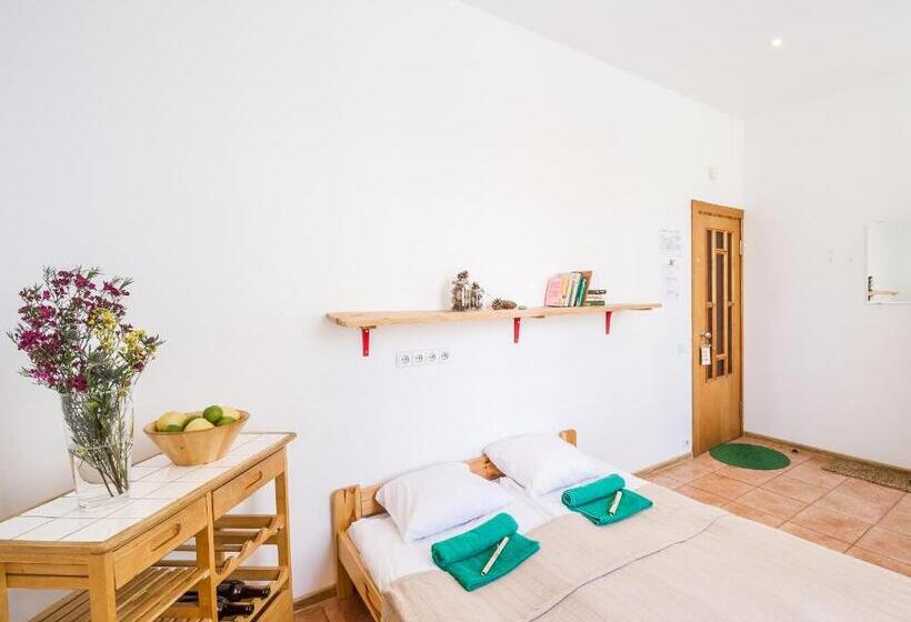 اتاق استاندارد با سرویس بهداشتی مشترک, Downtown Forest Hostel & Camping