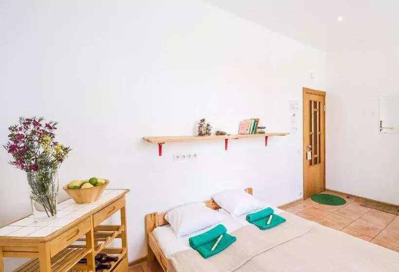 اتاق استاندارد با سرویس بهداشتی مشترک, Downtown Forest Hostel & Camping