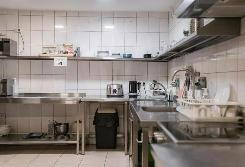 اتاق استاندارد یک تخته با سرویس بهداشتی مشترک, Downtown Forest Hostel & Camping