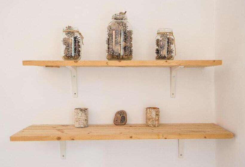 اتاق استاندارد, Downtown Forest Hostel & Camping