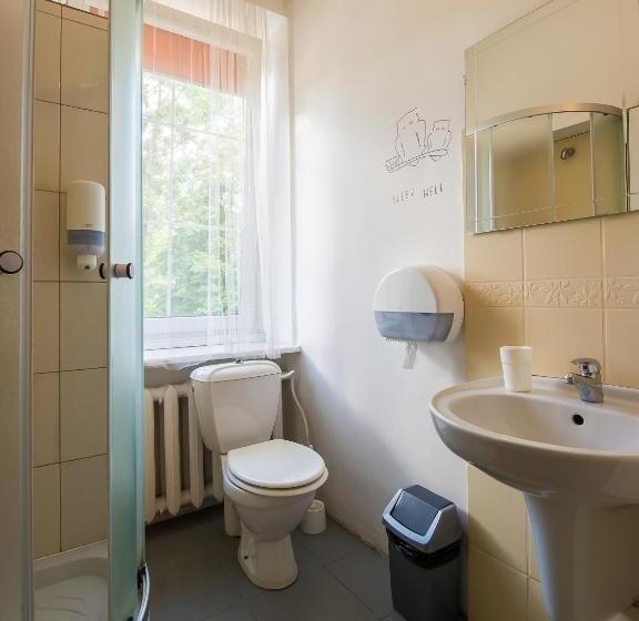 اتاق استاندارد, Downtown Forest Hostel & Camping