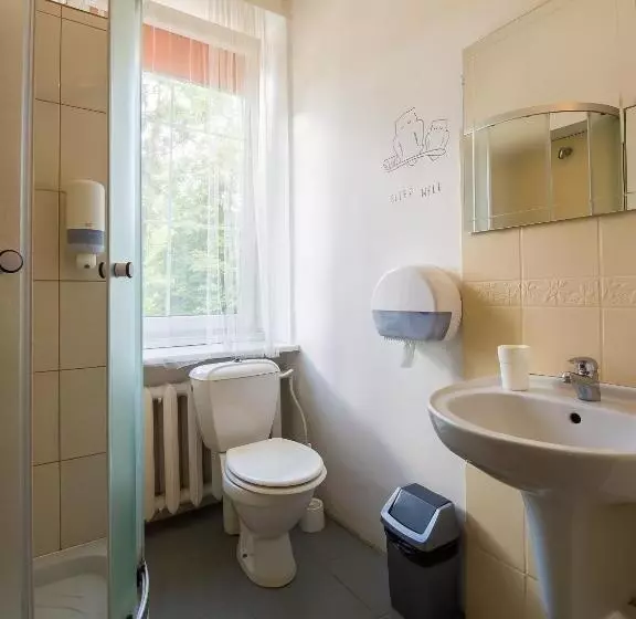 اتاق استاندارد, Downtown Forest Hostel & Camping
