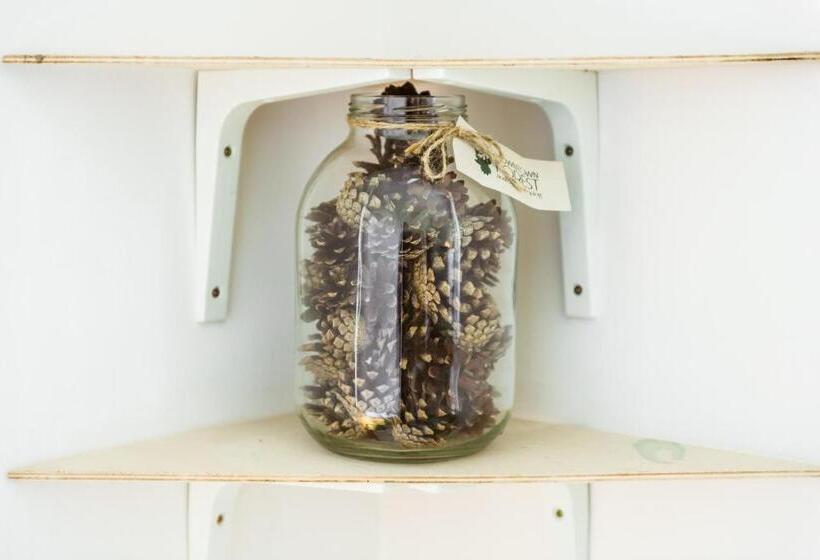 اتاق استاندارد سه تخته با سرویس بهداشتی مشترک, Downtown Forest Hostel & Camping