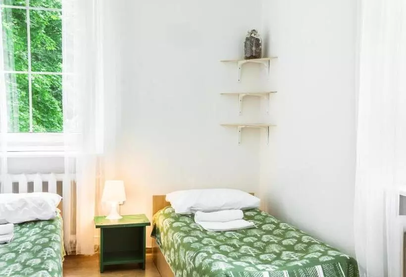 اتاق استاندارد سه تخته با سرویس بهداشتی مشترک, Downtown Forest Hostel & Camping