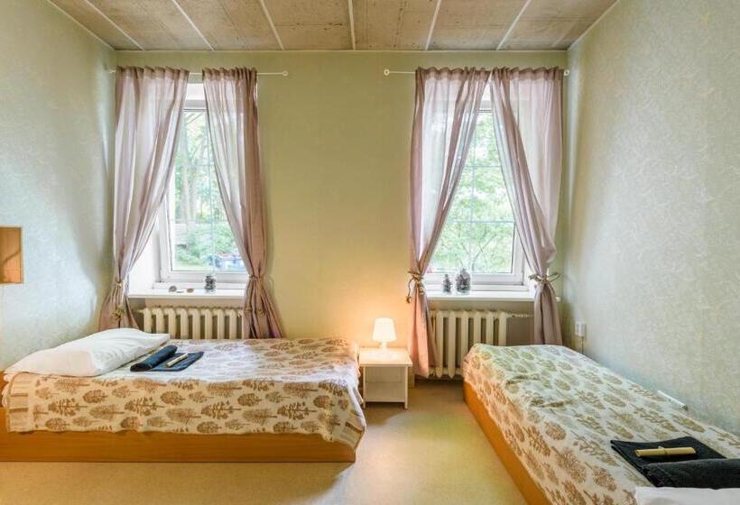 اتاق استاندارد سه تخته با سرویس بهداشتی مشترک, Downtown Forest Hostel & Camping