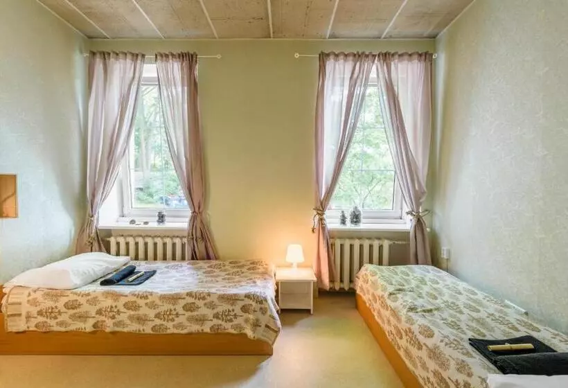 اتاق استاندارد سه تخته با سرویس بهداشتی مشترک, Downtown Forest Hostel & Camping
