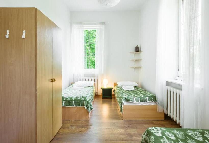 اتاق استاندارد سه تخته با سرویس بهداشتی مشترک, Downtown Forest Hostel & Camping