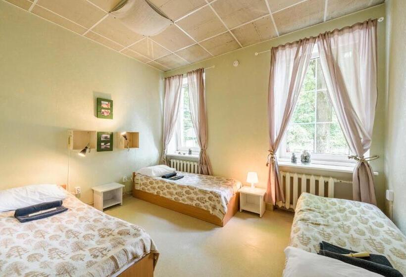 اتاق استاندارد سه تخته با سرویس بهداشتی مشترک, Downtown Forest Hostel & Camping