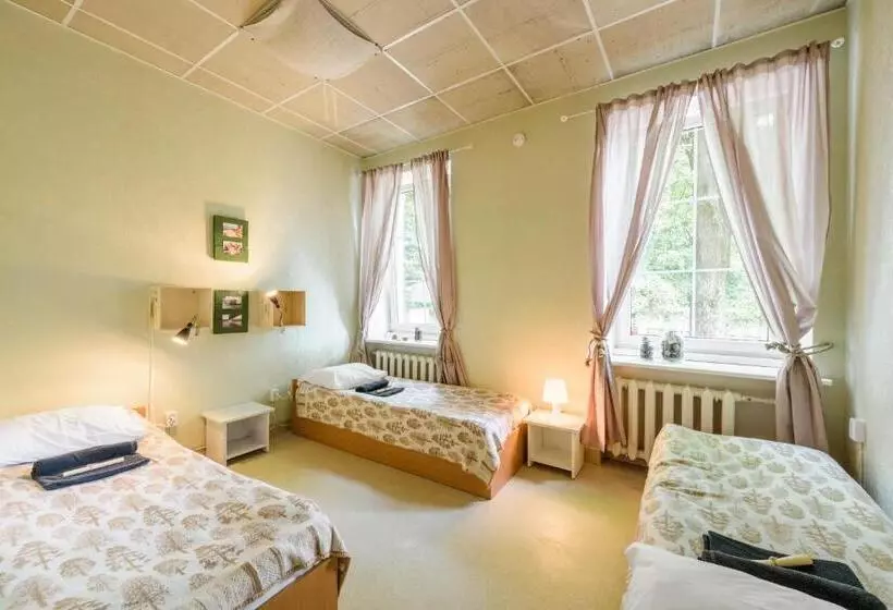 اتاق استاندارد سه تخته با سرویس بهداشتی مشترک, Downtown Forest Hostel & Camping