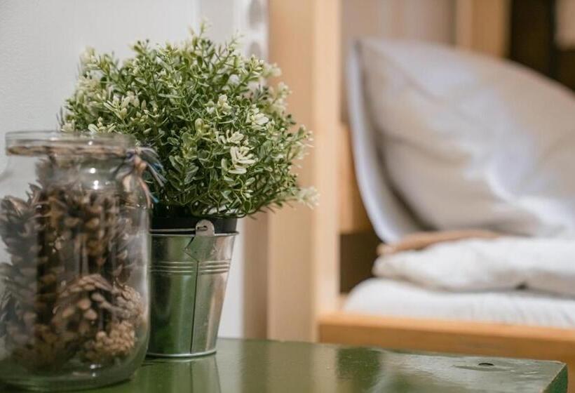 اتاق خانوادگی, Downtown Forest Hostel & Camping