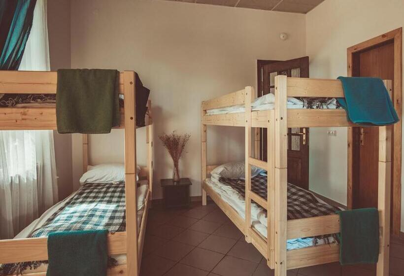 اتاق خانوادگی, Downtown Forest Hostel & Camping