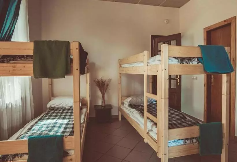 اتاق خانوادگی, Downtown Forest Hostel & Camping