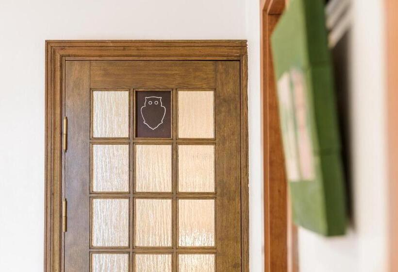 اتاق خانوادگی, Downtown Forest Hostel & Camping