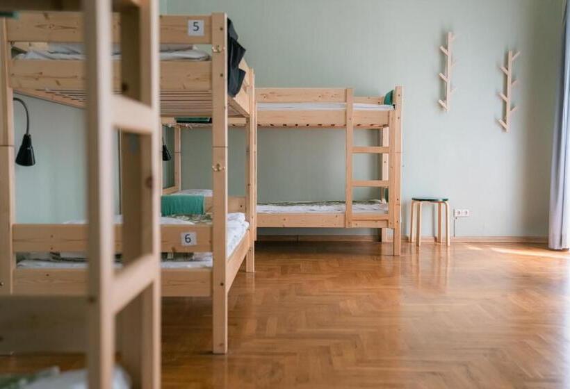 تختخواب در اتاق مشترک, Downtown Forest Hostel & Camping