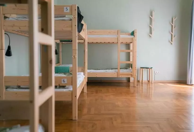تختخواب در اتاق مشترک, Downtown Forest Hostel & Camping