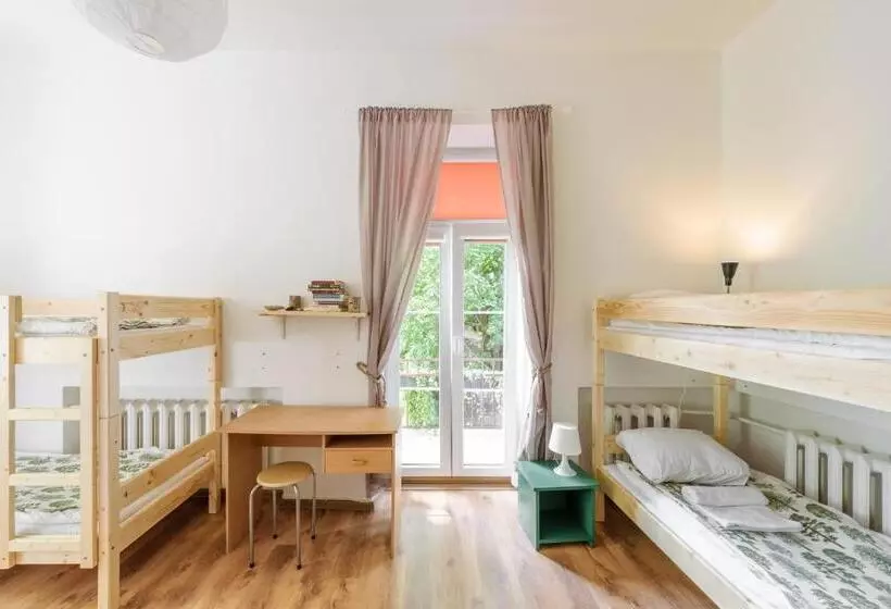 تختخواب در اتاق مشترک, Downtown Forest Hostel & Camping