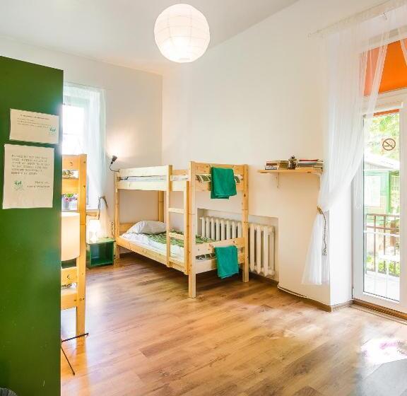 تختخواب در اتاق مشترک, Downtown Forest Hostel & Camping