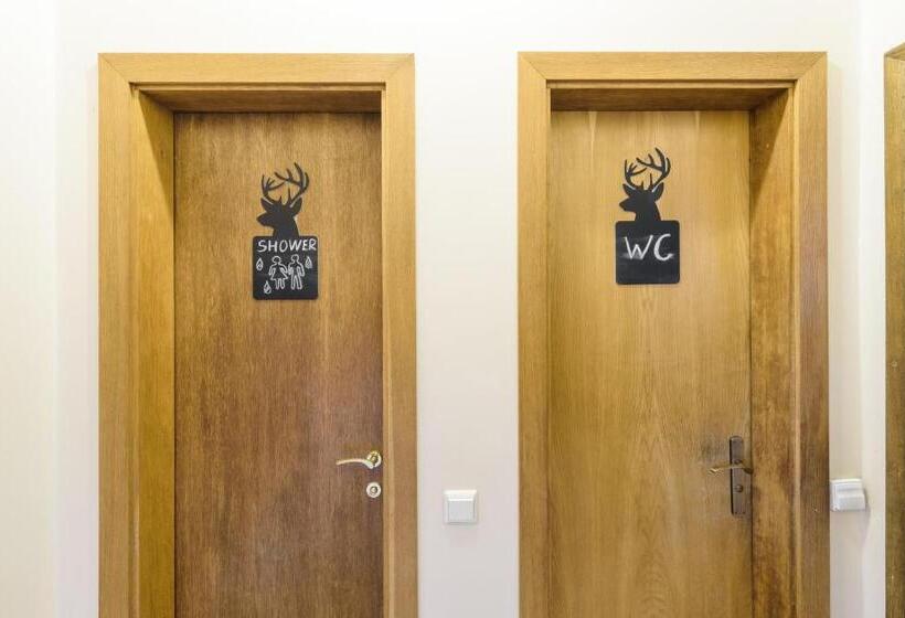 تختخواب در اتاق مشترک, Downtown Forest Hostel & Camping