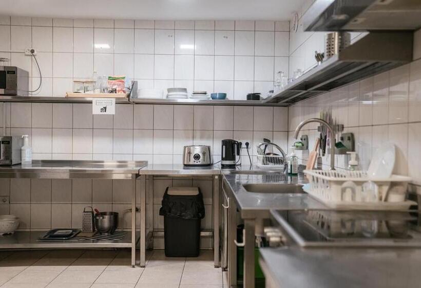 اتاق استاندارد یک نفره, Downtown Forest Hostel & Camping