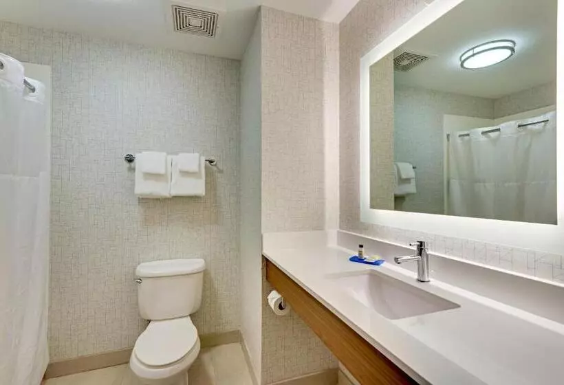 身障者適用スタンダードルーム, Holiday Inn Express Hotel And Suites Weatherford, An Ihg