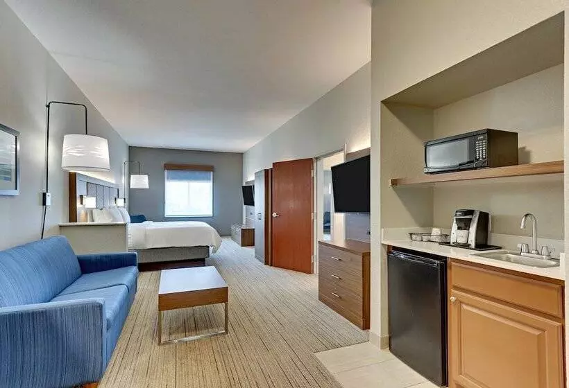 身障者適用スイートルーム, Holiday Inn Express Hotel And Suites Weatherford, An Ihg