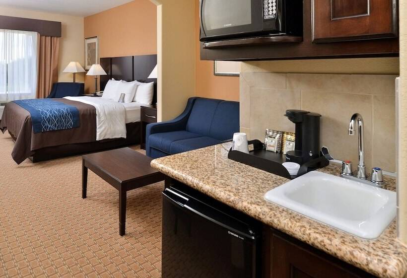 스탠다드 룸, Comfort Inn & Suites Mexia