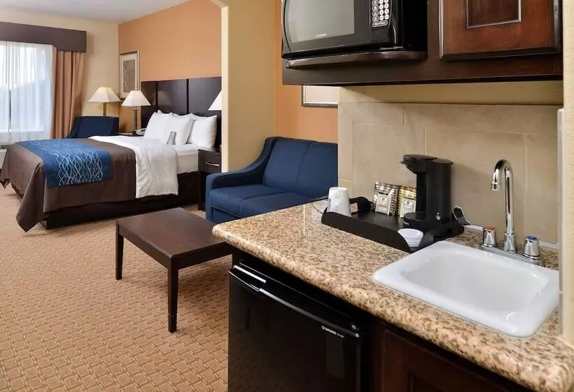 スタンダードルーム, Comfort Inn & Suites Mexia