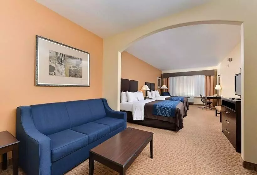 スタンダードルーム, Comfort Inn & Suites Mexia