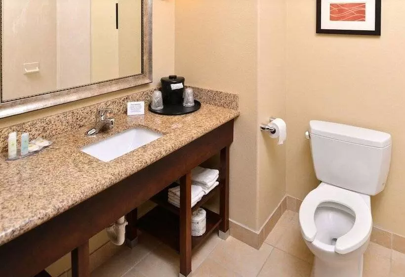 スタンダードルーム, Comfort Inn & Suites Mexia