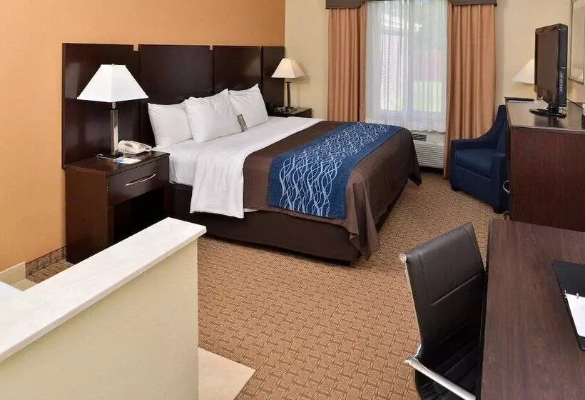 スタンダードルーム, Comfort Inn & Suites Mexia