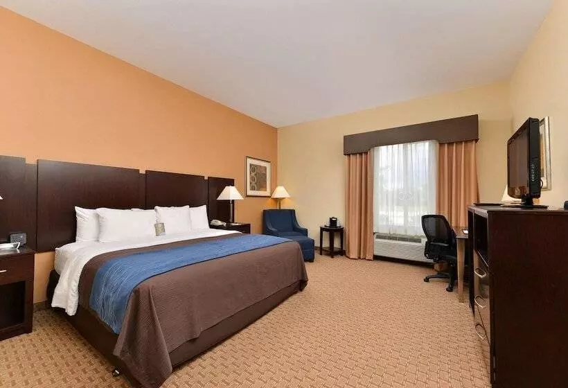 スタンダードルーム, Comfort Inn & Suites Mexia