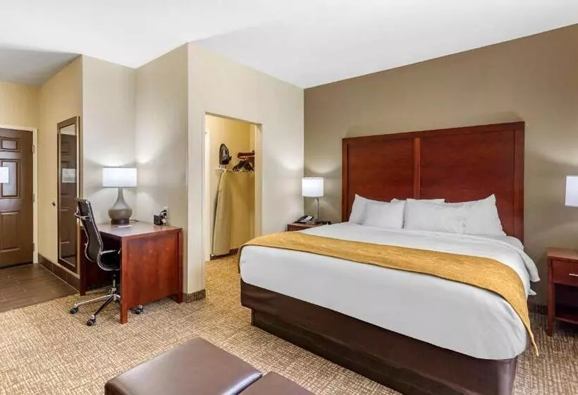 キングサイズベッドのスタンダードルーム, Comfort Suites