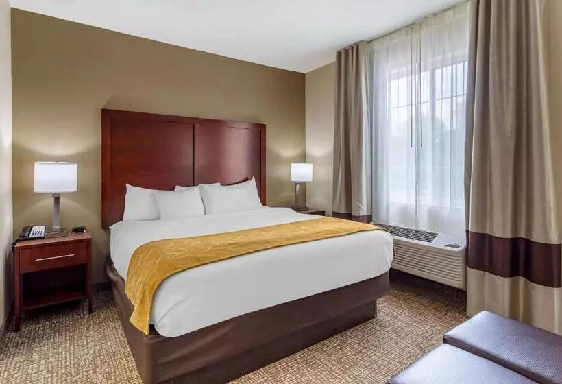 キングサイズベッドのスタンダードルーム, Comfort Suites