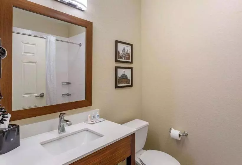 キングサイズベッドのスタンダードルーム, Comfort Suites