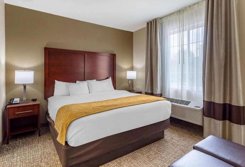 غرفة قياسية, Comfort Suites