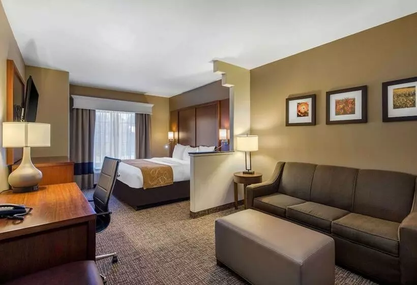 スイート, Comfort Suites Marshall