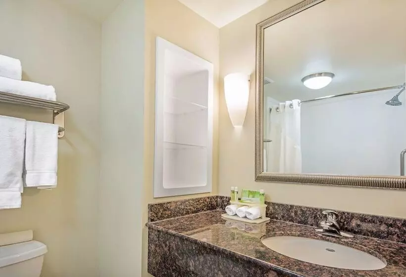 スイート, Holiday Inn Express Hotel & Suites Clute Lake Jackson, An Ihg
