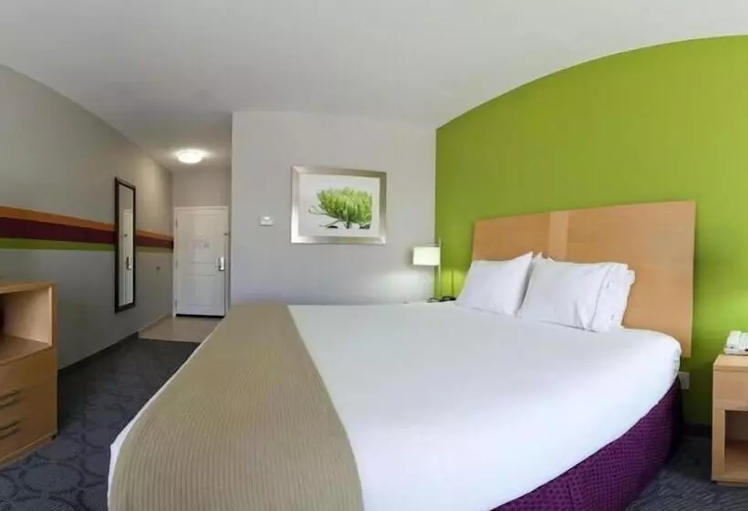 スタンダードルーム, Holiday Inn Express Hotel & Suites Clute Lake Jackson, An Ihg