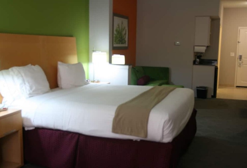 Люкс, Holiday Inn Express Hotel & Suites Clute Lake Jackson, An Ihg