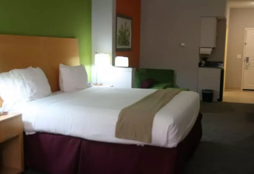 スイート, Holiday Inn Express Hotel & Suites Clute Lake Jackson, An Ihg