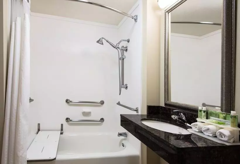 身障者適用スイートルーム, Holiday Inn Express Hotel & Suites Clute Lake Jackson, An Ihg